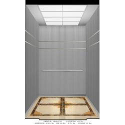 Stainless steel villa lift