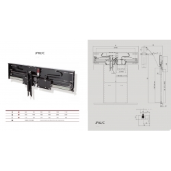 Door System