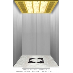 Stainless steel villa lift